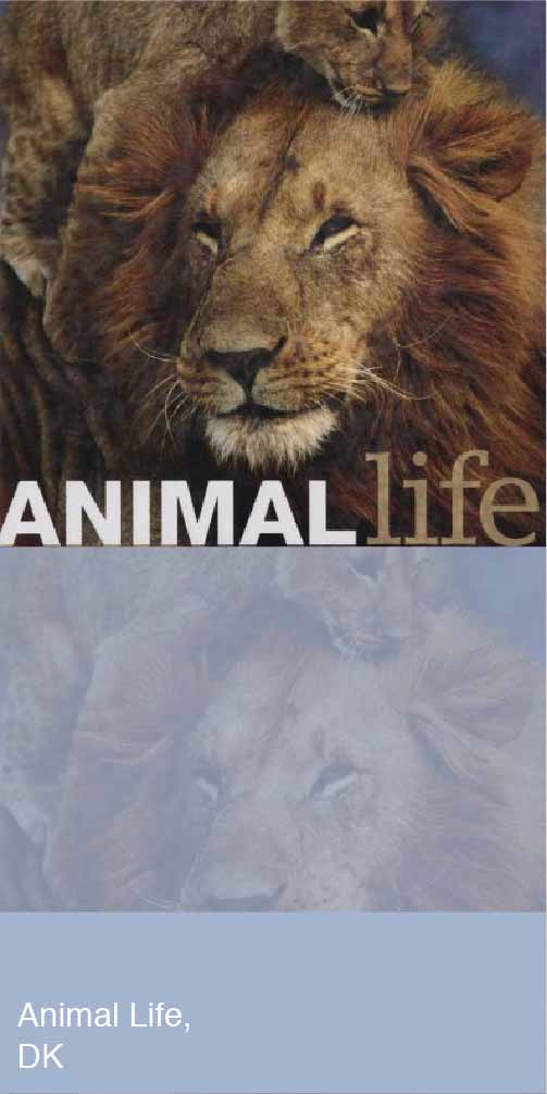Animal Life Book Cover