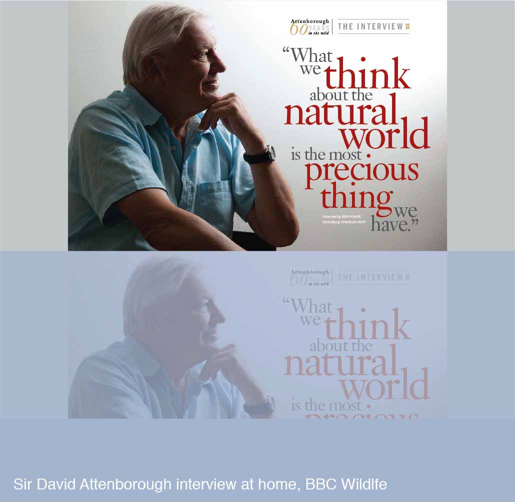 David Attenborough interview at home for BBC Wildlife