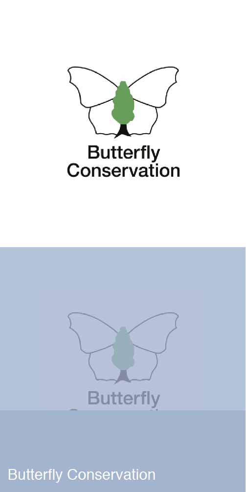 Butterfly Conservation Logo
