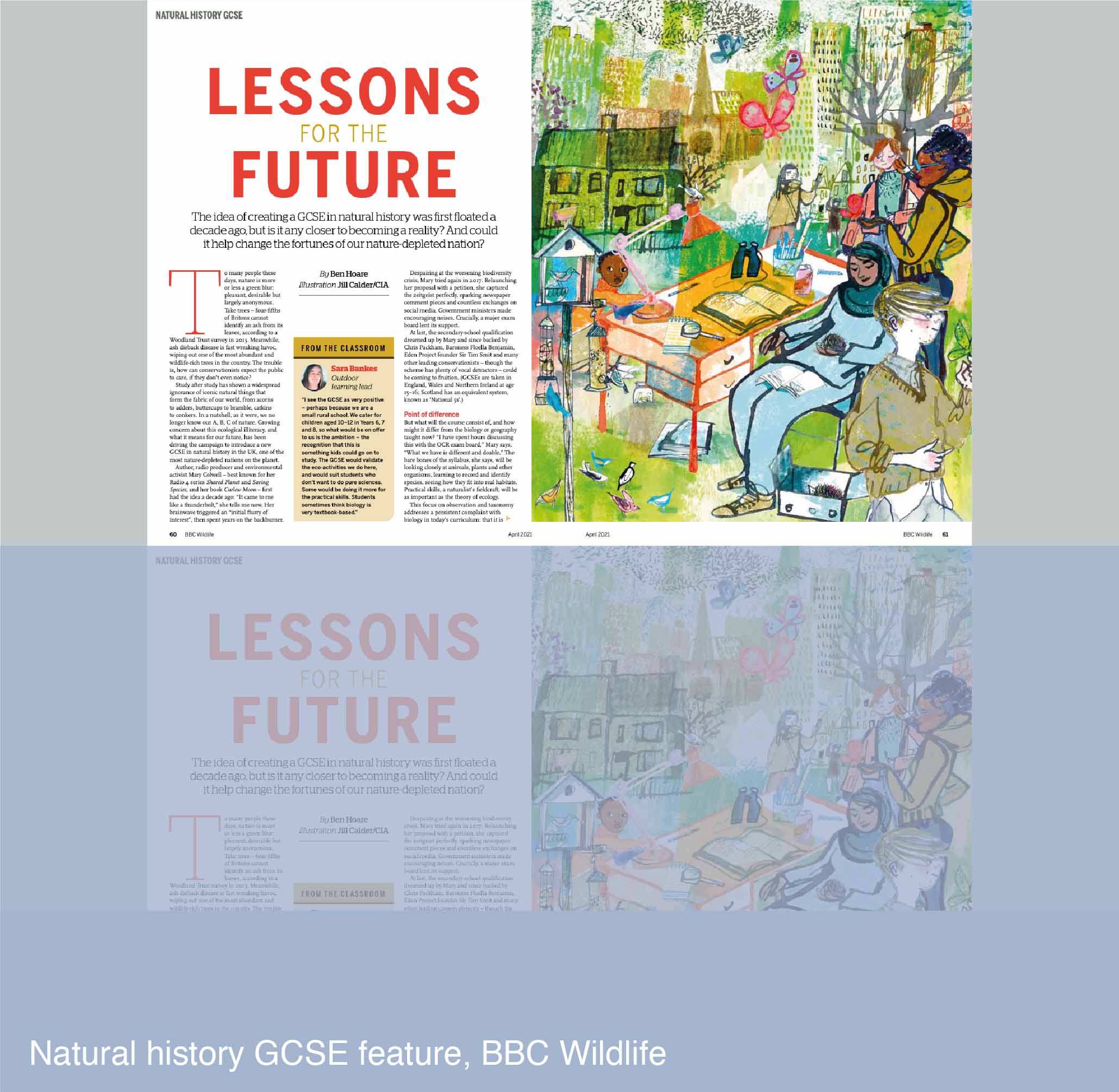 Natural history GCSE feature for BBC Wildlife