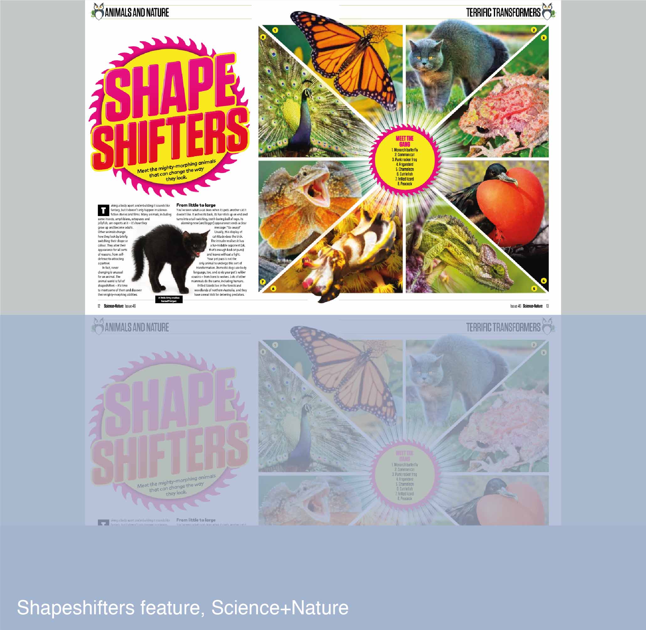 Shapeshifters feature for Science+Nature